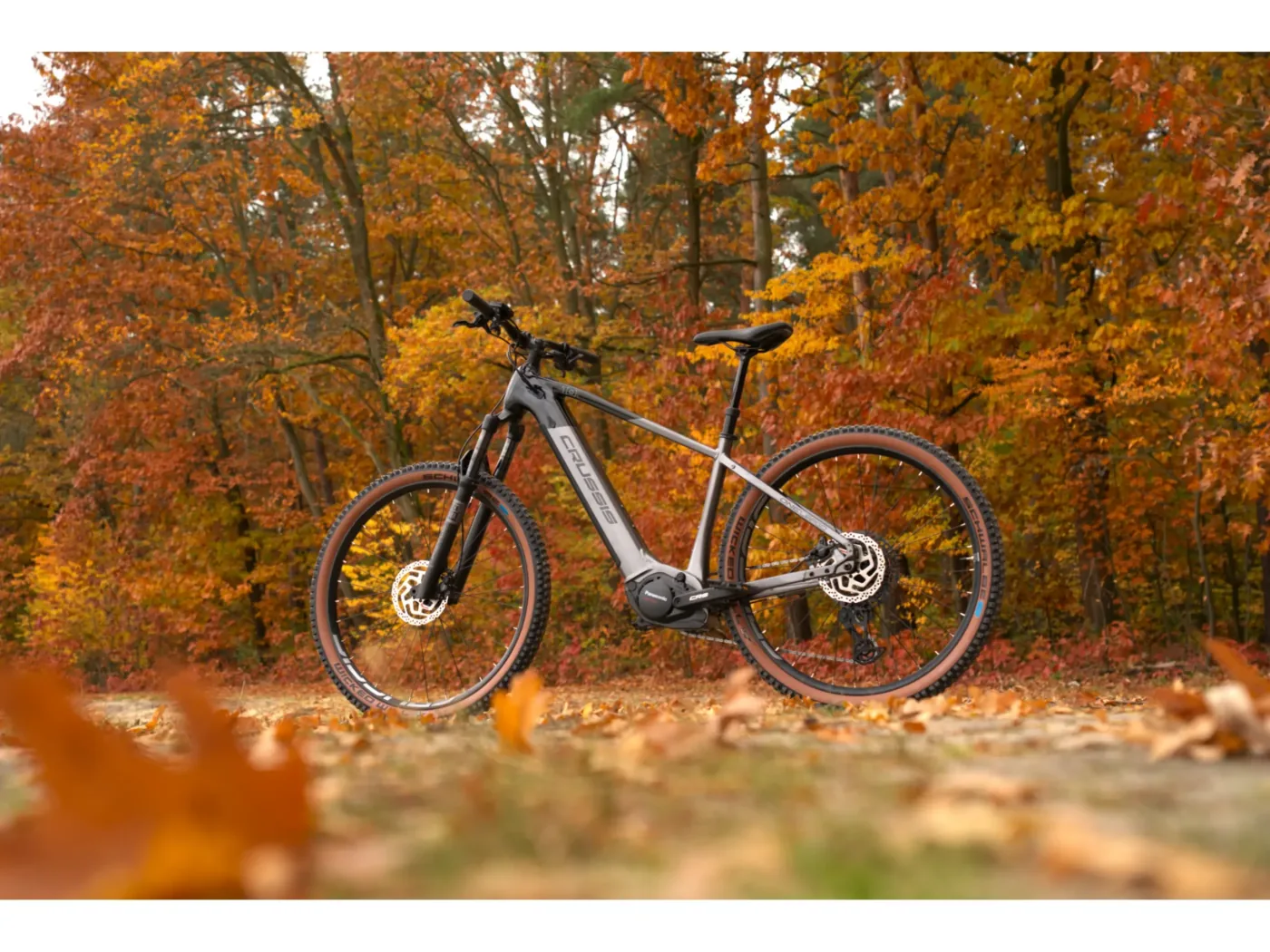 Crussis ONE-Largo 10.11-715 Wh 2026 — fotka 8
